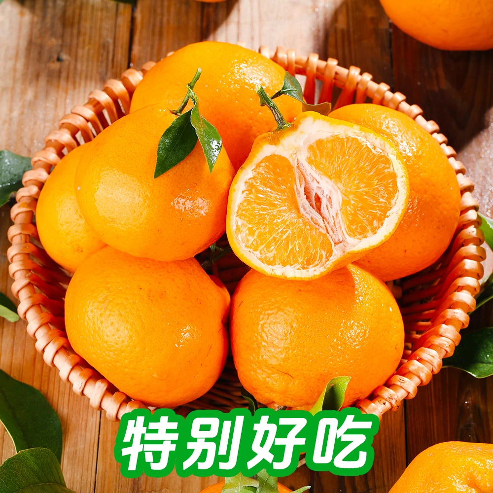 娇娇【坏果包赔】四川耙耙柑现摘现发新鲜多汁4.5/8斤
