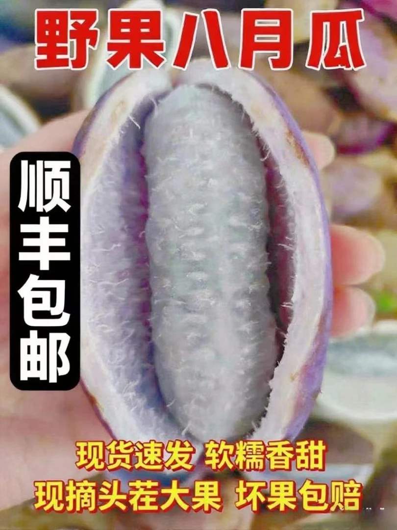 云贵高原当季八月瓜新鲜现摘软糯香甜稀有水果八月稀奇古怪的水果