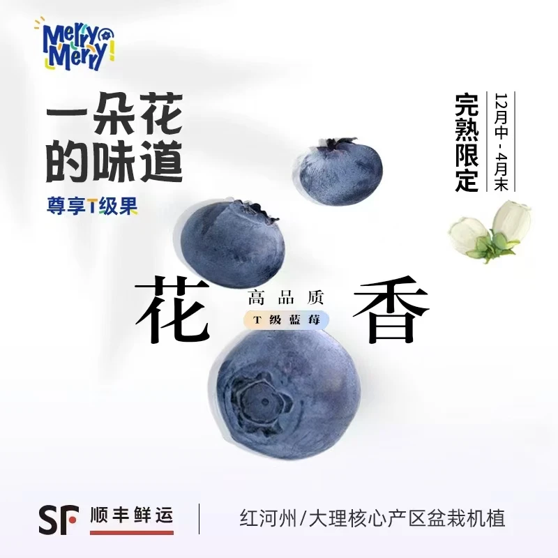 【顺丰空运】云南花香L25蓝莓 头茬果 新鲜纯甜 脆甜饱满 宝宝蓝莓