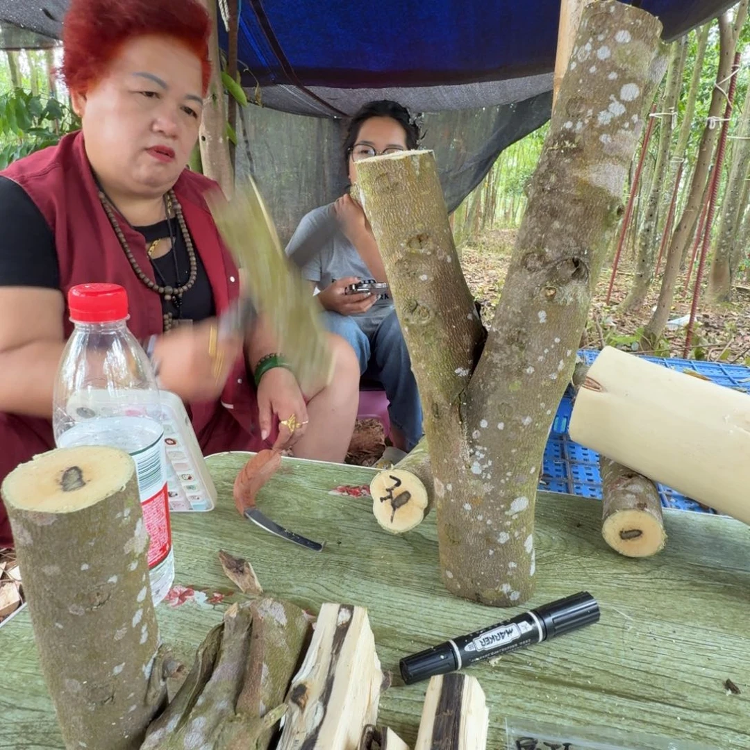 邓***线香奇楠沉香原木