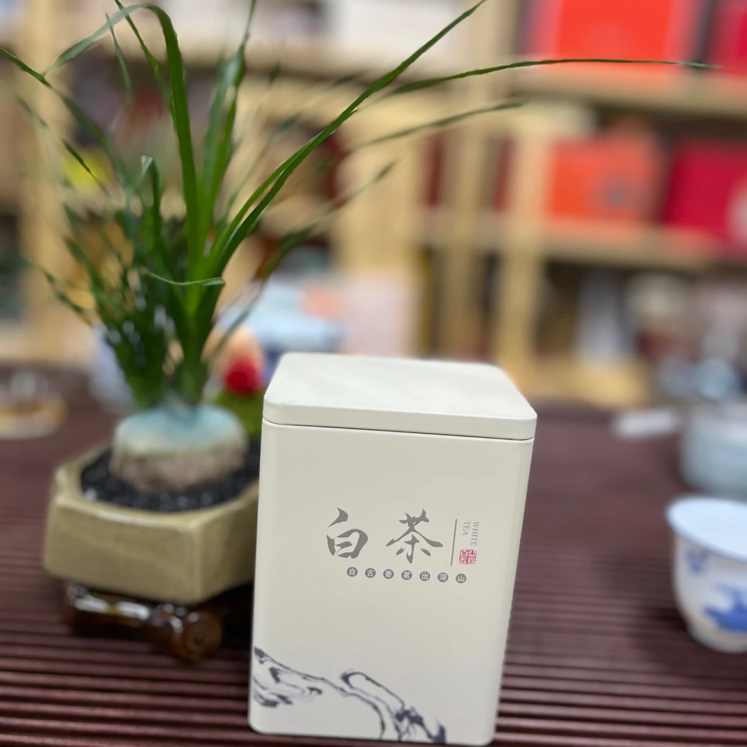 {品鉴装}新茶白毫银针白茶铁罐装30g