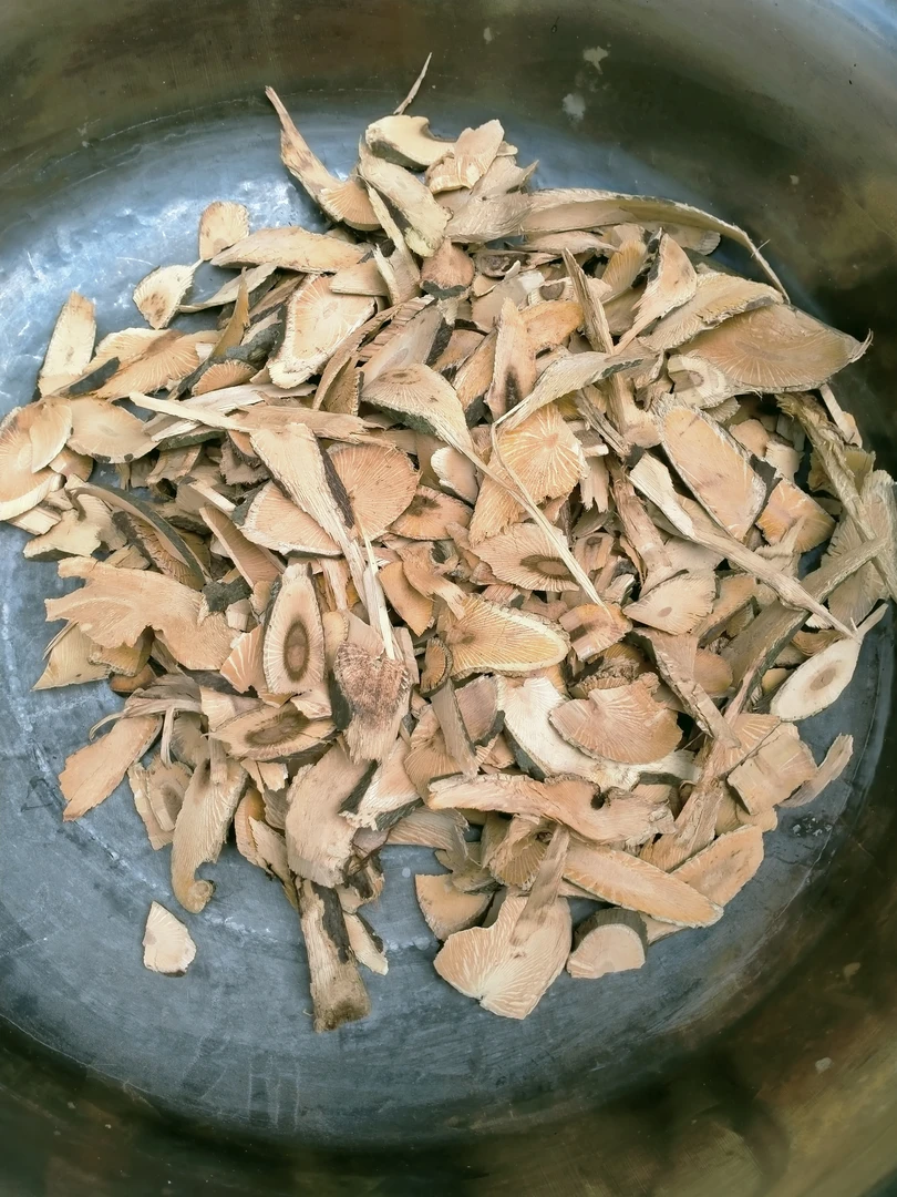贵州小花清风藤生长六年内藤精心挑选高品质货