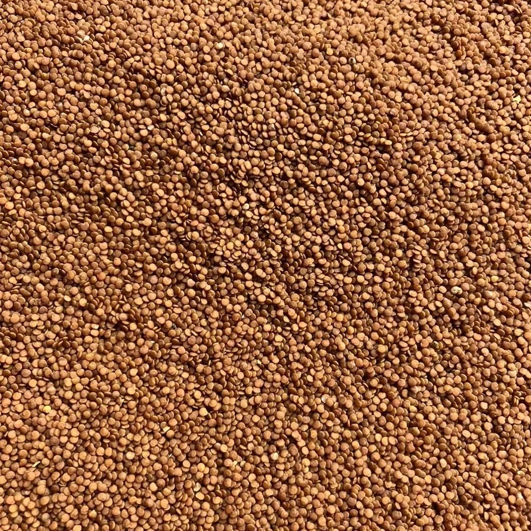 冰粉籽贵州产地冰粉，四川摆摊专用冰粉