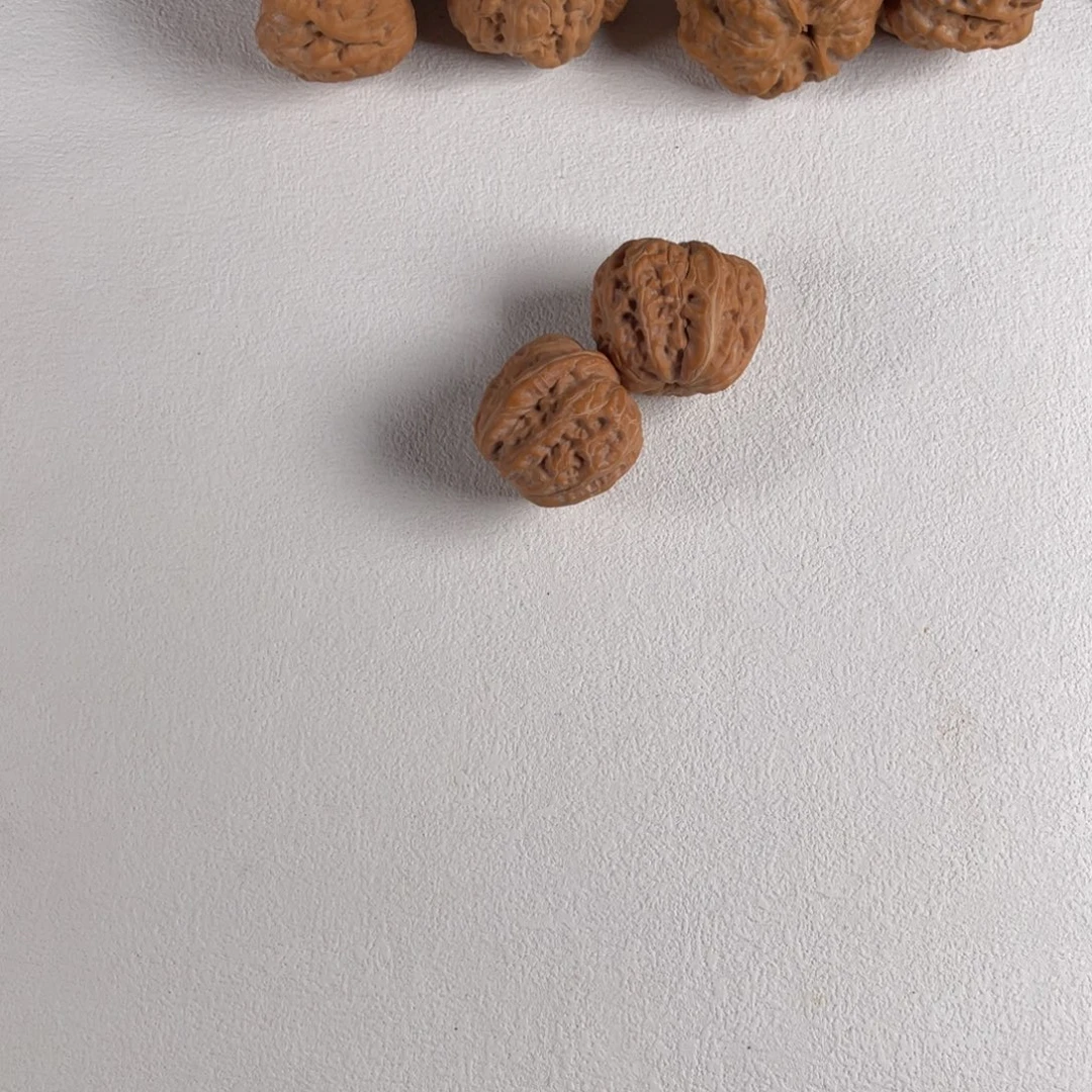 吊坠金刚菩提12号拍品