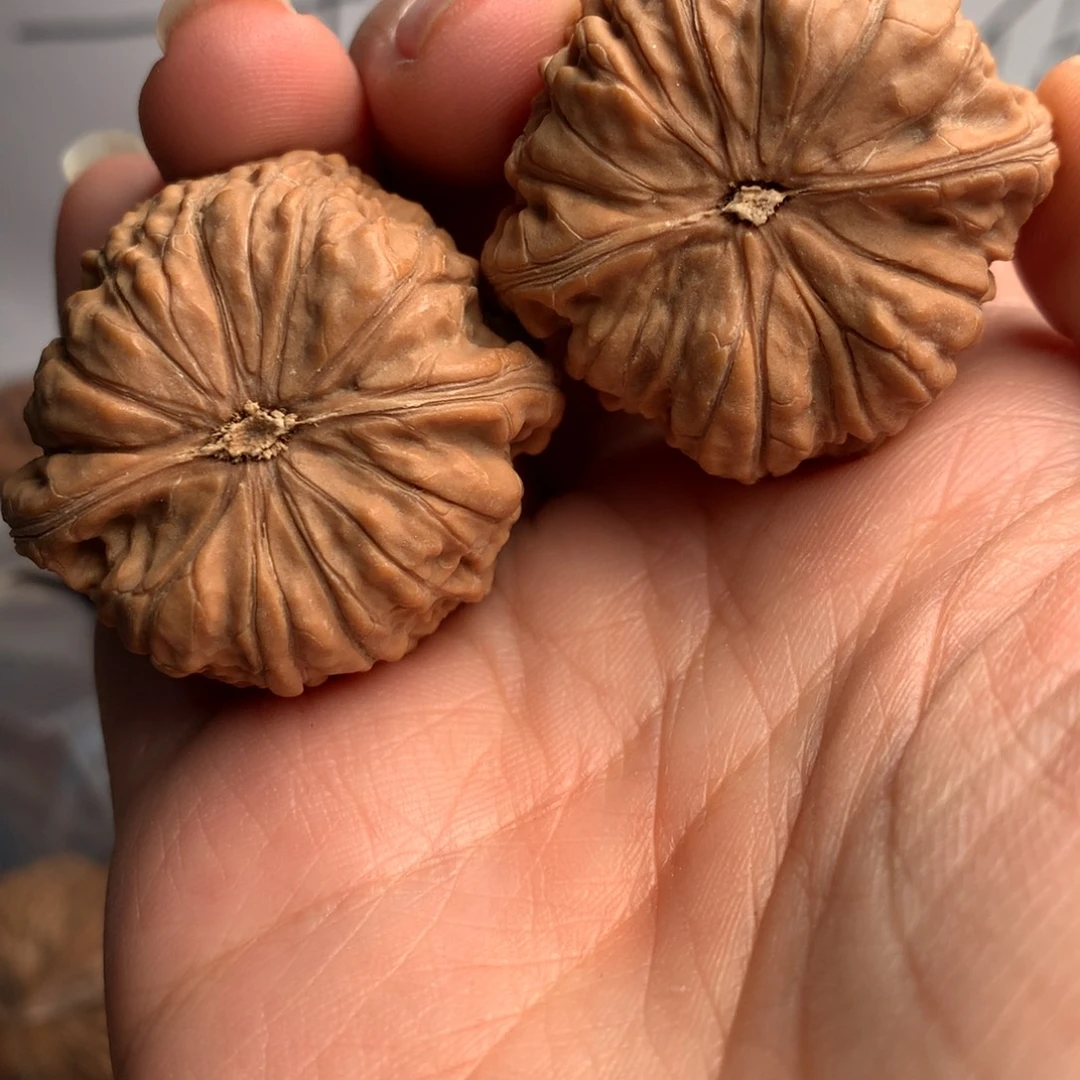 和***下平底锅192件起送出