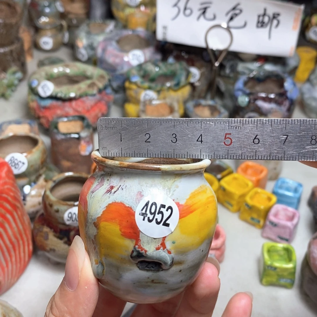 拍5送一个小礼物