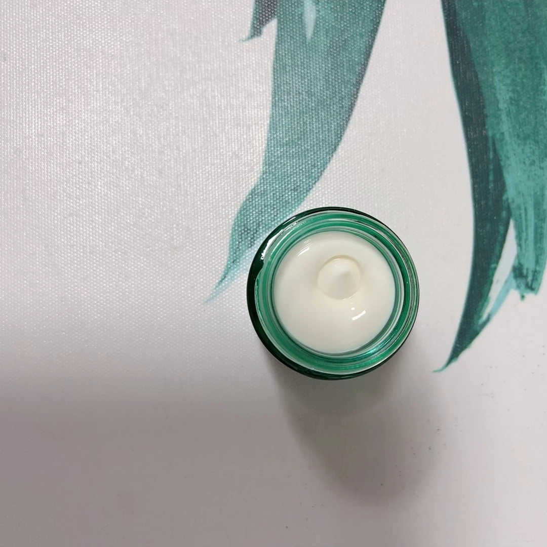 大庆仓 山茶花滋润眼霜18g（日期27年6月）8804