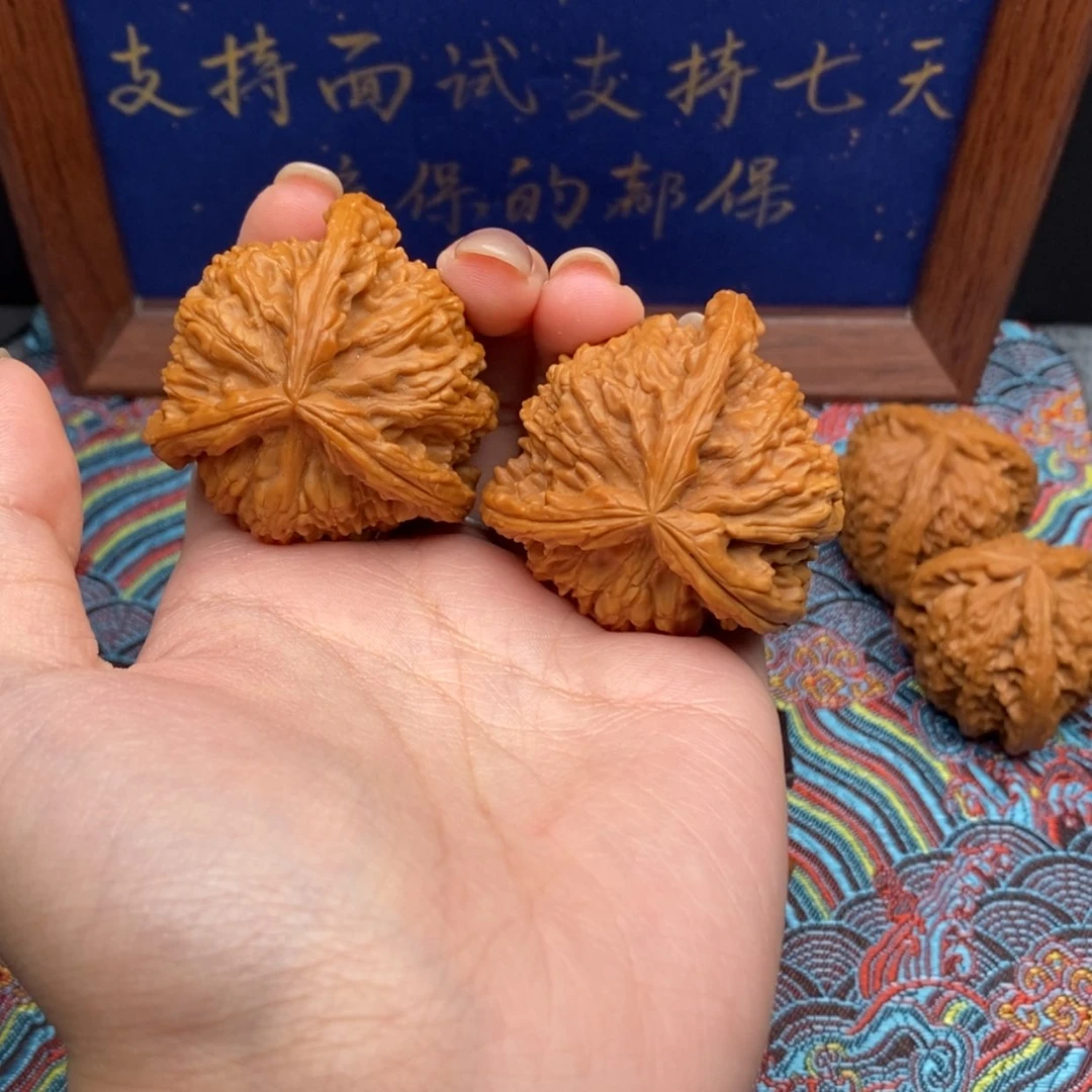 【闪购商品】木*木白狮