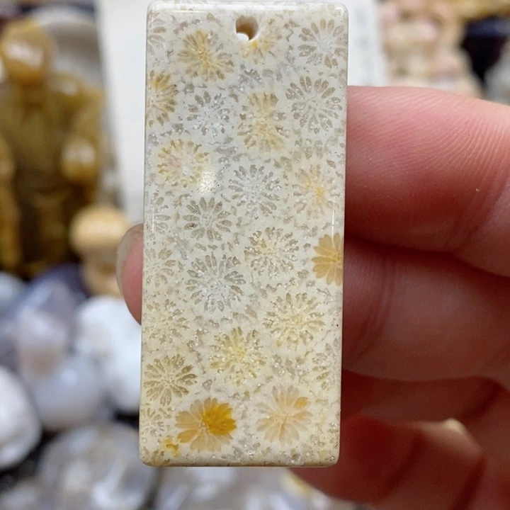 颈饰未镶嵌硅化珊瑚（珊瑚玉）小