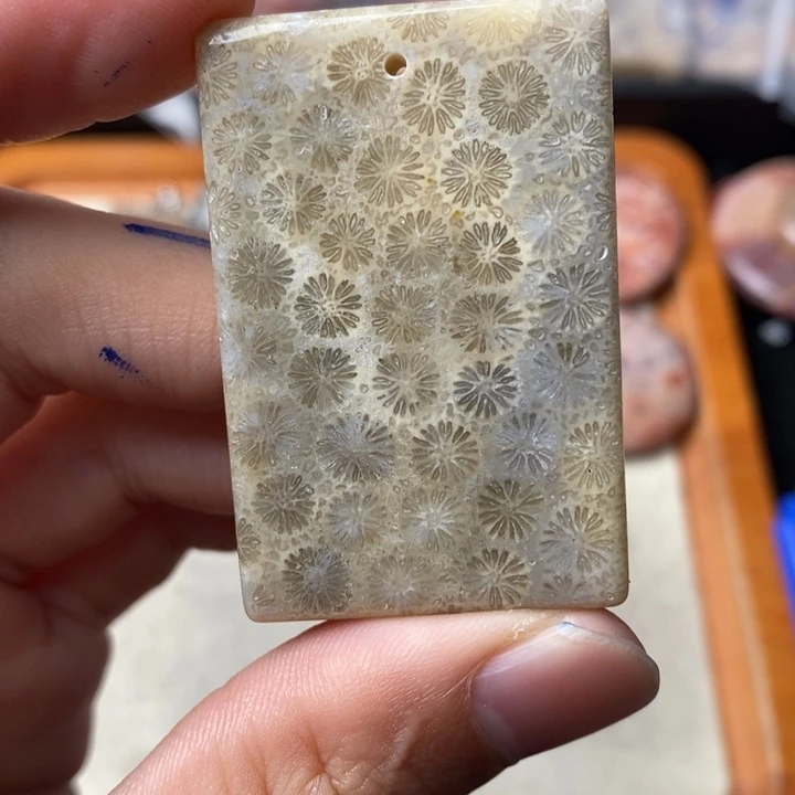 硅化玉颈饰未镶嵌A**我