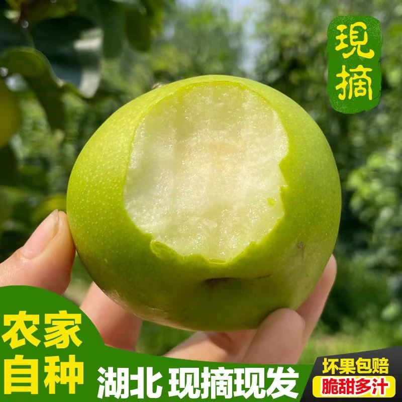 湖北荆州新鲜翠玉梨青皮梨皮薄脆甜核小多汁时令当季水果