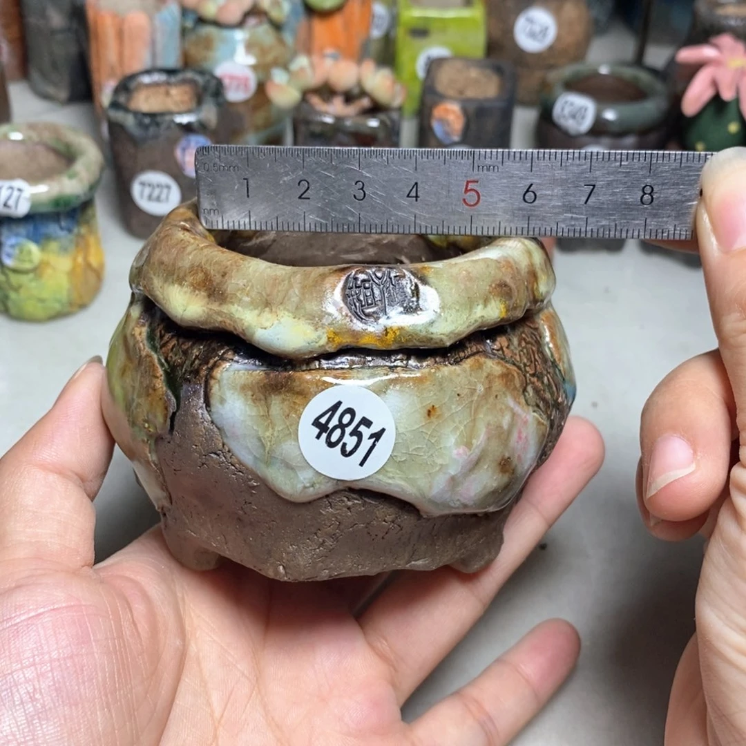拍3送一个小礼物