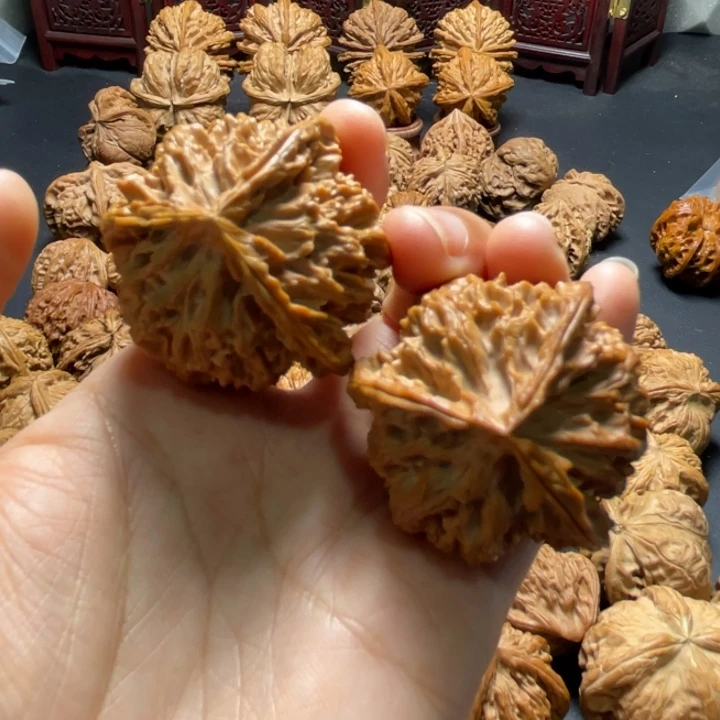 苹果园三棱40尺寸核桃哈哈哈哈哈哈哈