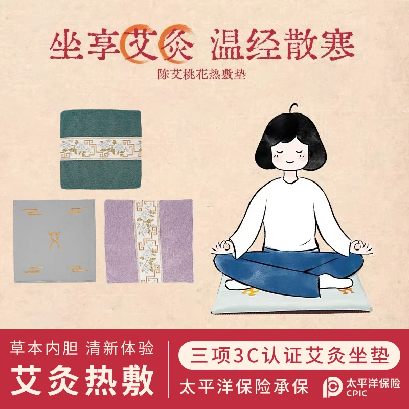 新年礼物送女朋友闺蜜员工客户女生生日礼物艾灸电加热坐垫伴手礼