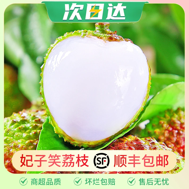 【顺丰速发】海南妃子笑荔枝1-3斤新鲜头茬现摘水果核小肉厚香甜海南省
