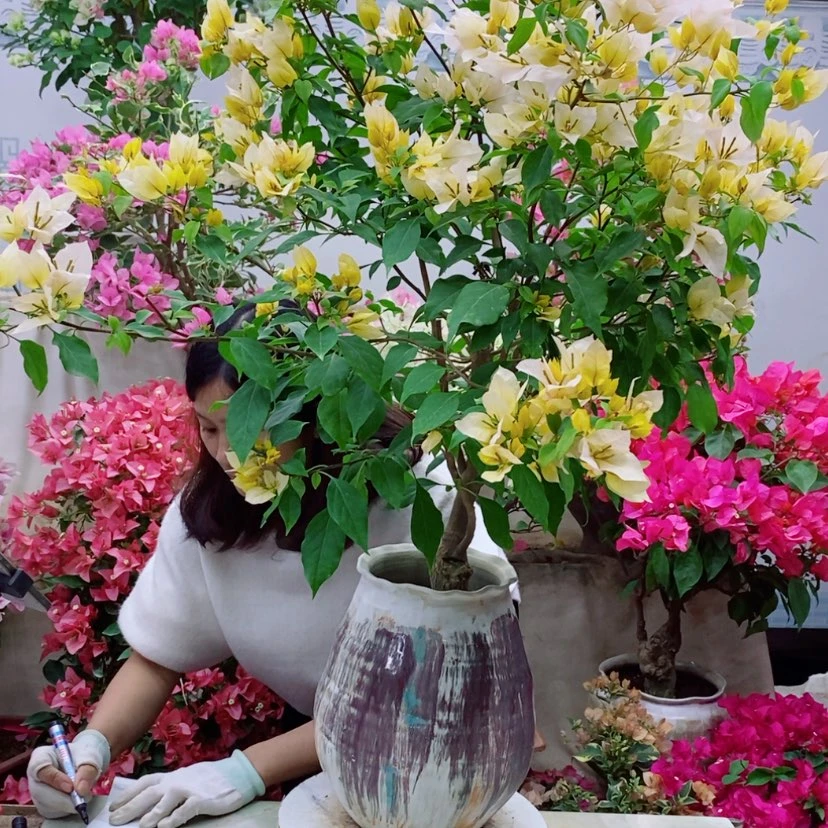 【闪购商品】完全开放