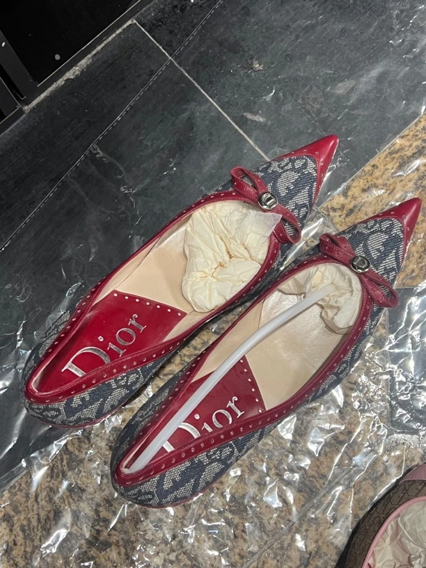 95新 DIOR/迪奥 dior蓝色老花红尖头高跟鞋