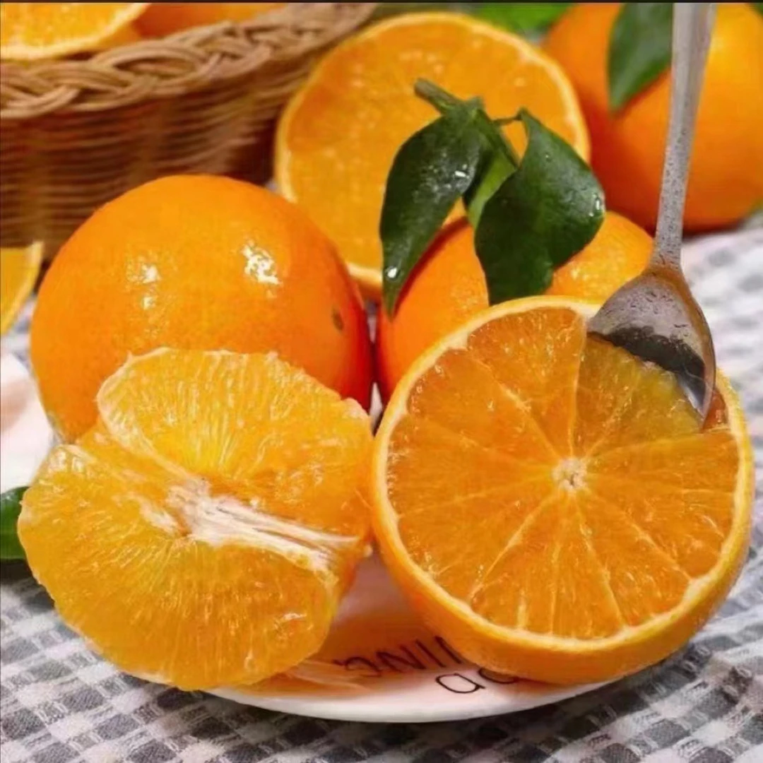 正宗现摘象山红美人柑橘产地直发新鲜当季水果，小果家庭装链接