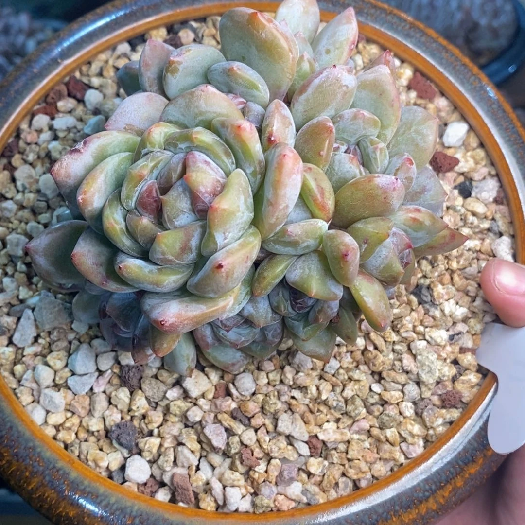 陈*哈哈哈哈哈哈哈哈哈哈哈哈哈哈哈