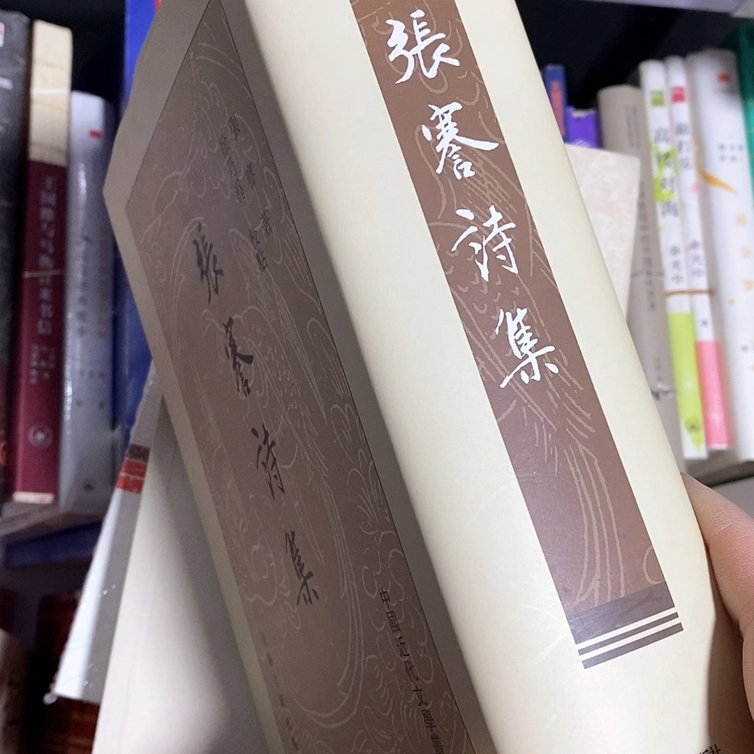 张謇诗集……