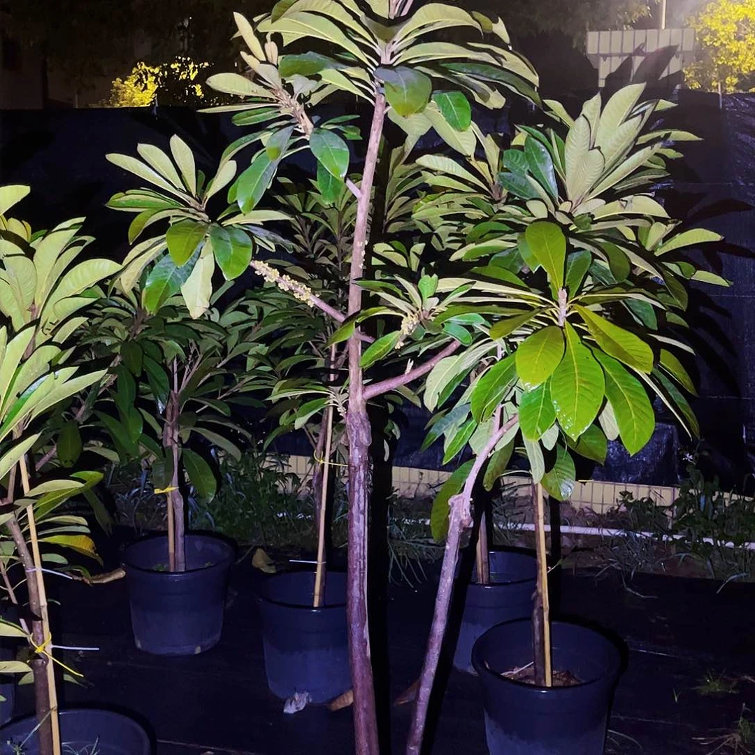 詹***乐2222222222332