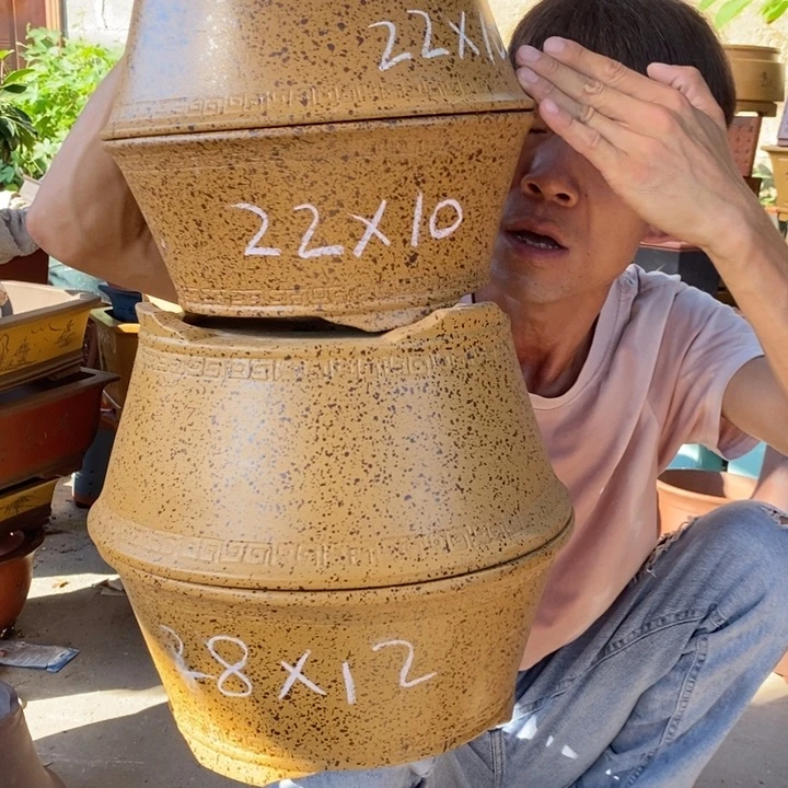 紫砂紫砂紫砂紫砂