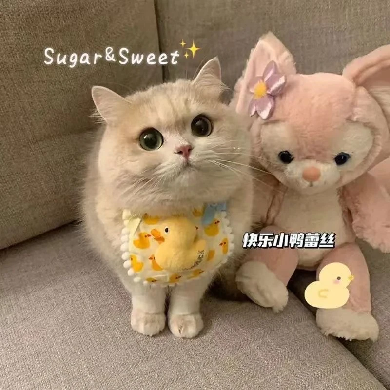 宠物猫咪狗狗蕾丝围兜可爱口水巾围脖拍照装饰项圈布艺手工
