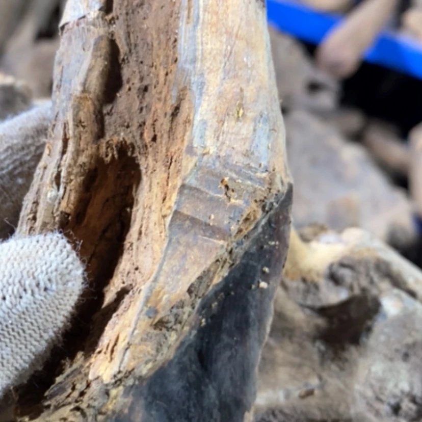 【闪购商品】贡木其他私人订制