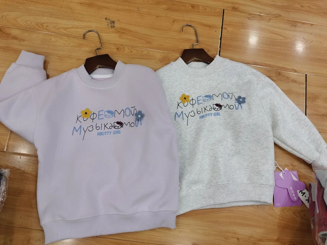 秋冬套头卡通韩版高领加绒B类上衣冬季卫衣休闲风女