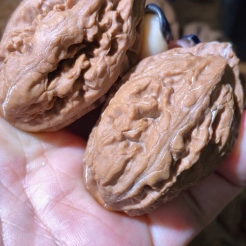 把件文玩核桃东北野生楸子小美86