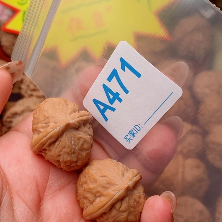 舍利子28尺471号123