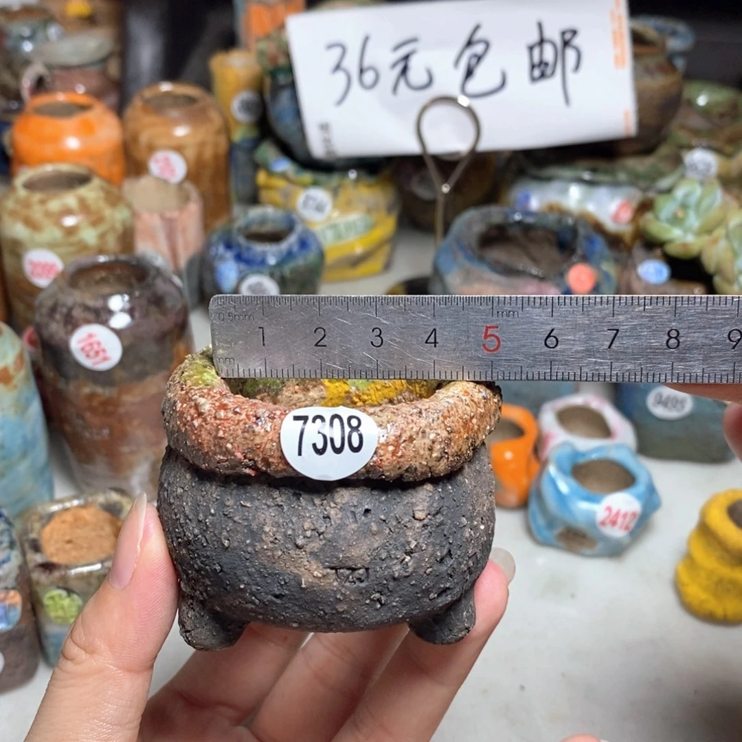 拍3送一个小礼物