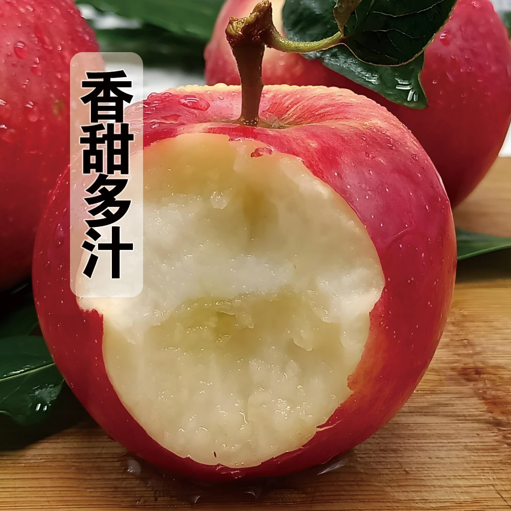 【猴哥家的苹果】2025年头茬冰糖丑苹果 脆甜好吃