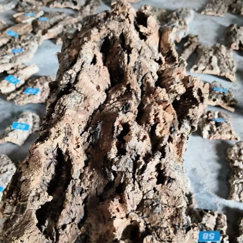 顺顺利利，平平安安