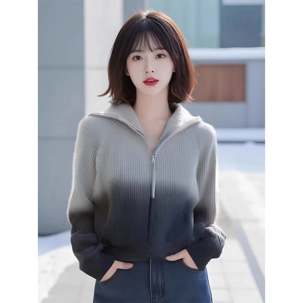 慵懒高级感蓝灰色渐变高领女2024新款设计感小众针织开衫上衣