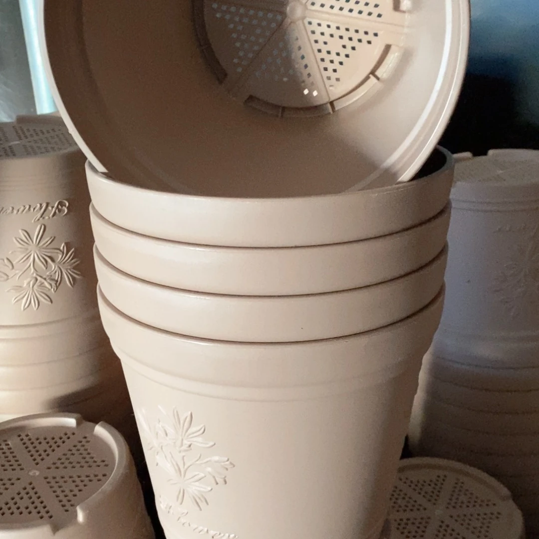 5个22.6口浅色浮雕无托