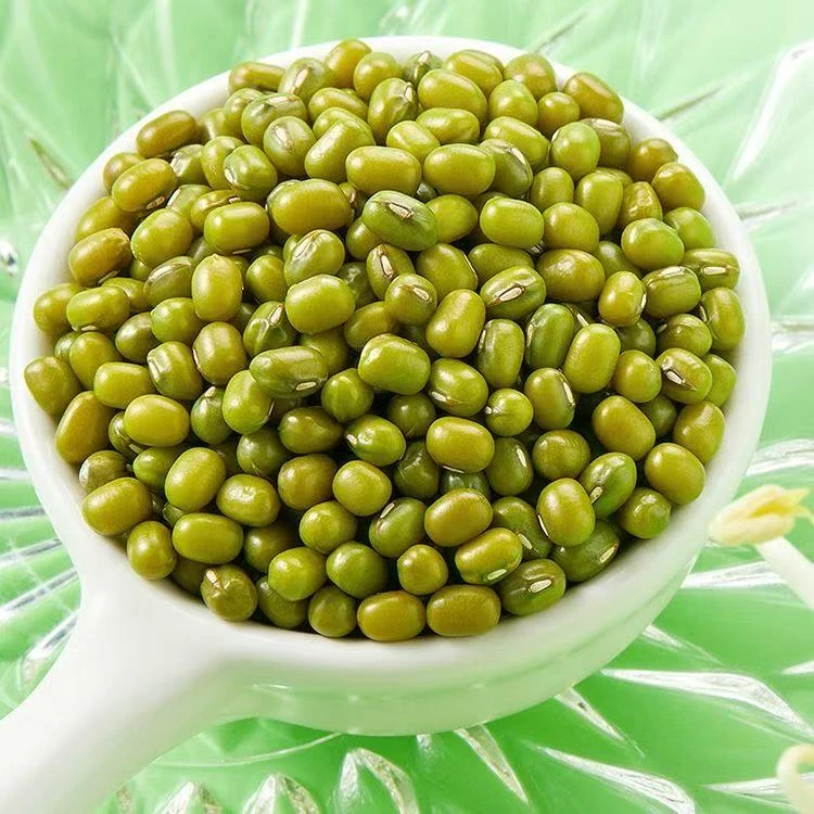 散装大绿豆约500g