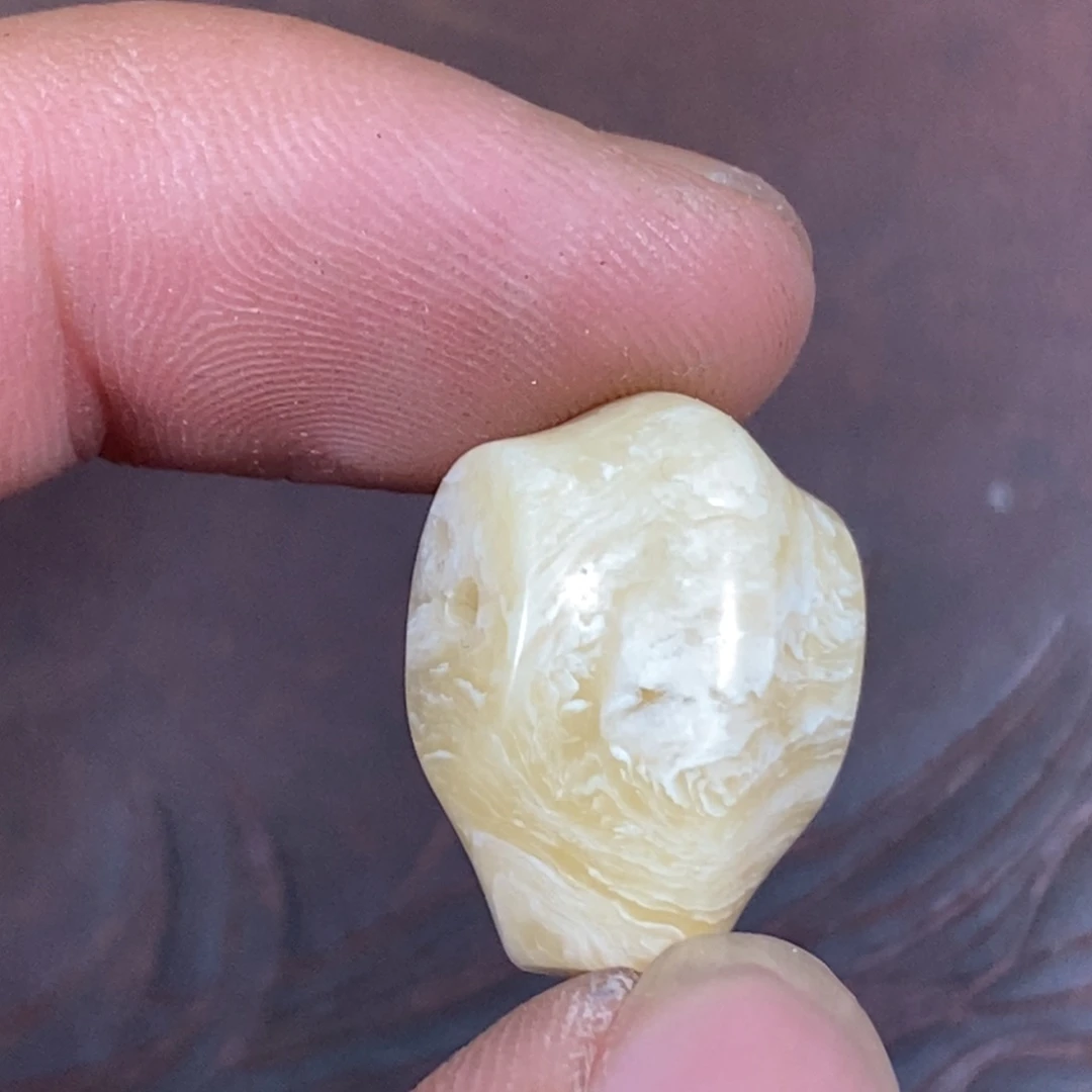 手串/手链驼骨1.4尺寸,69