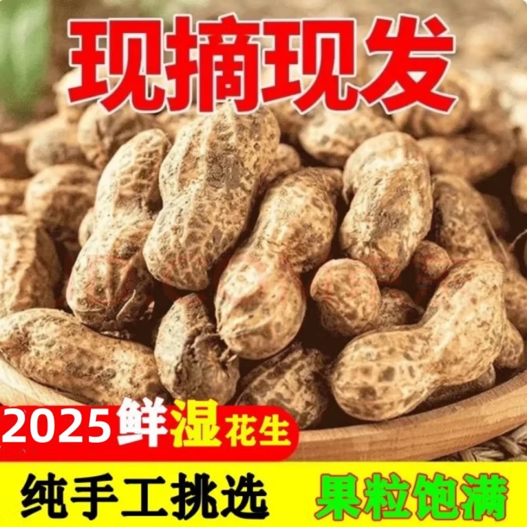 河南新鲜现挖带壳粉皮湿花生可水煮农家自种