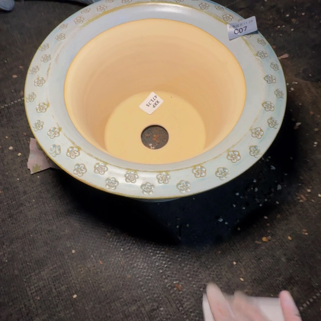 阿***?c c c c c c c c c 7