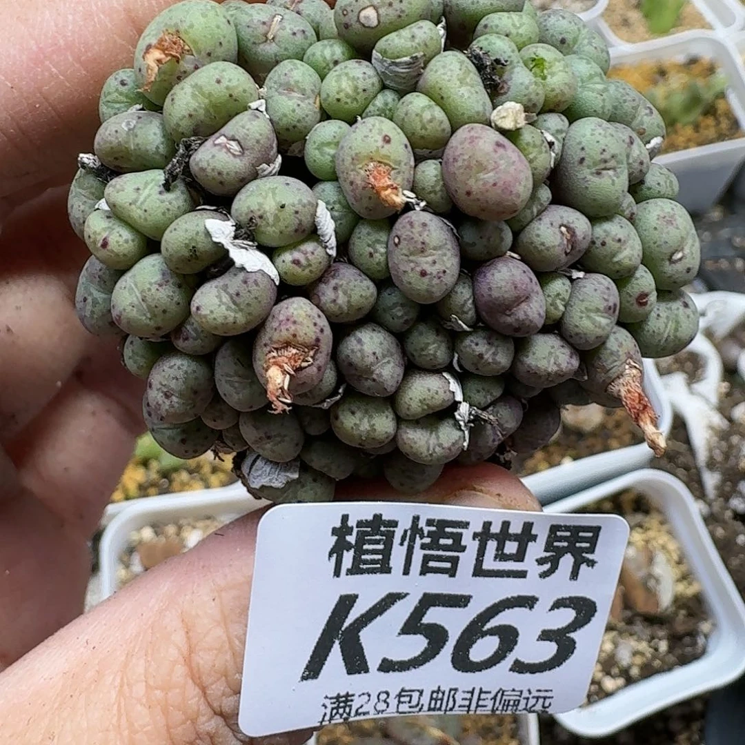 多让我的润泽hjkll