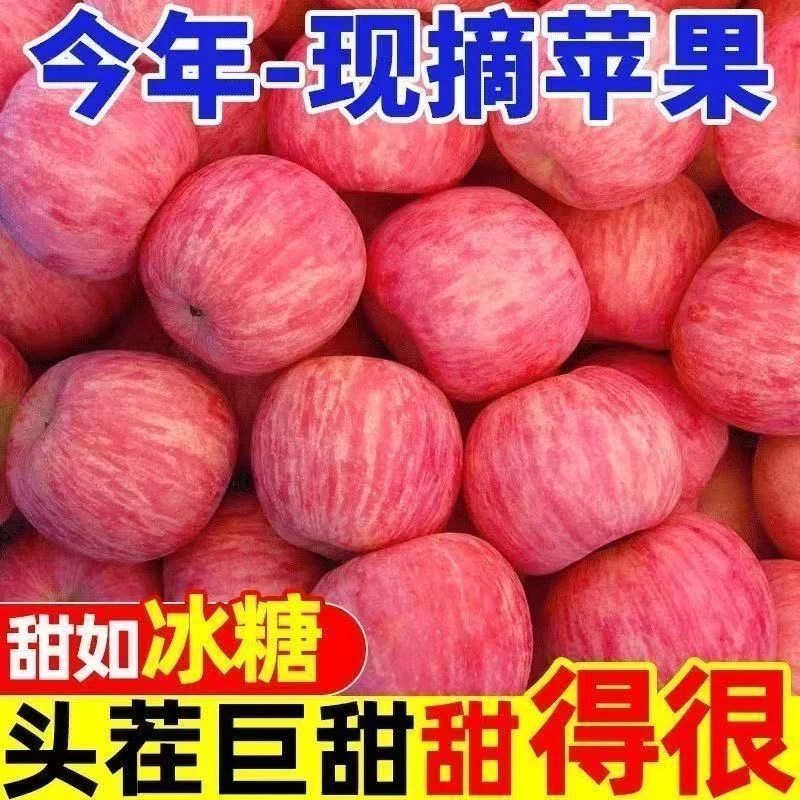 甘肃天水红富士苹果新鲜脆甜多汁产地直发当季水果