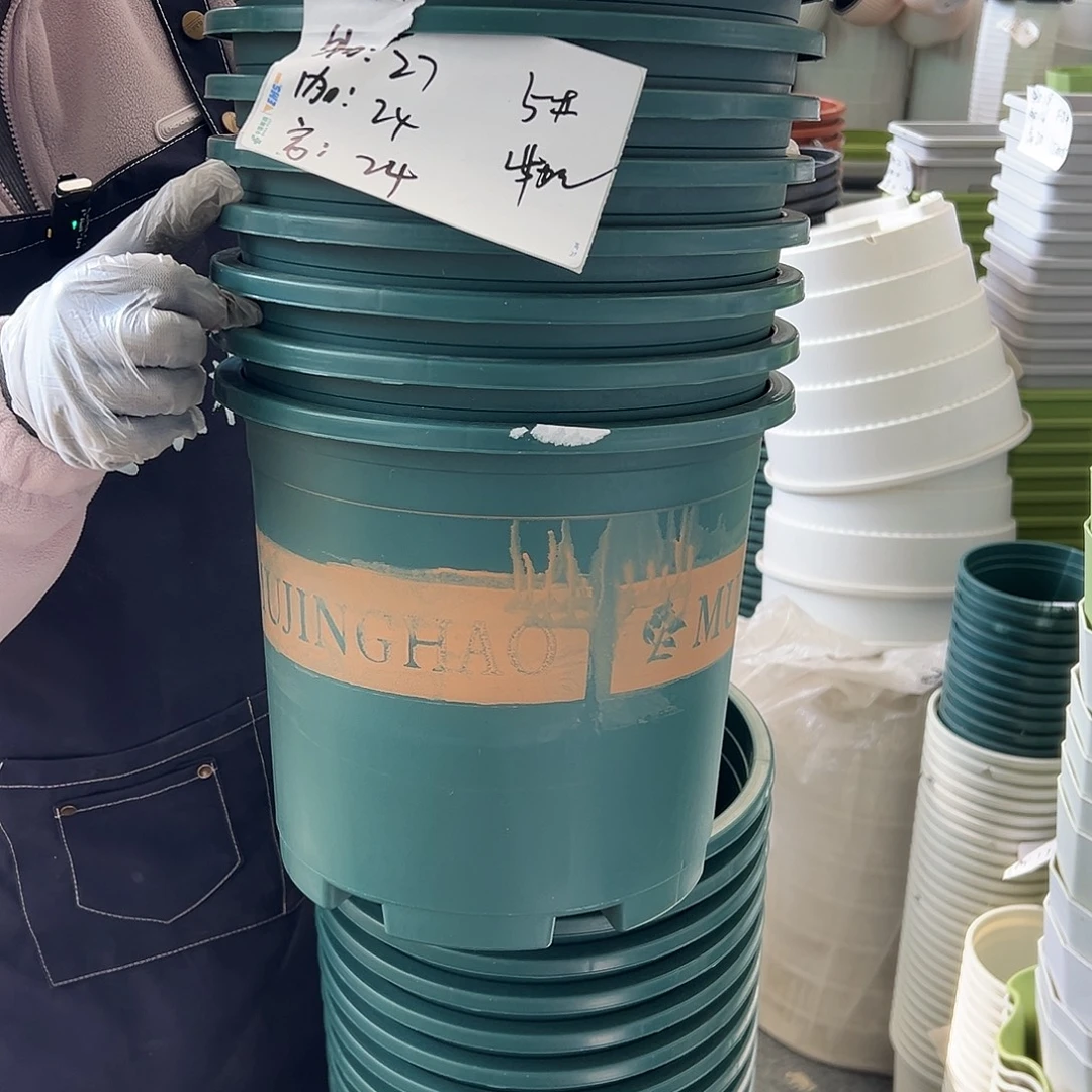 瑕疵5#加仑墨绿色10个无托