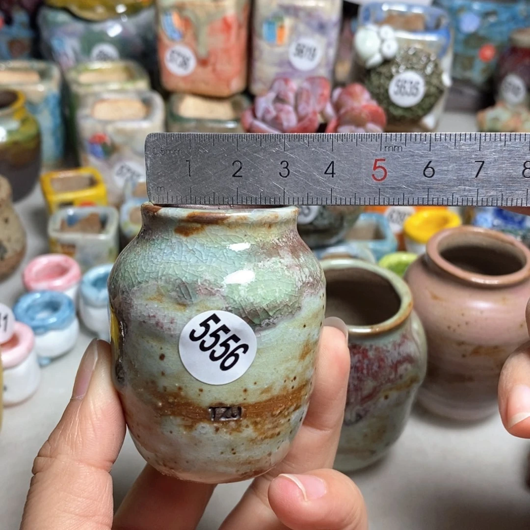 拍5送一个小礼物