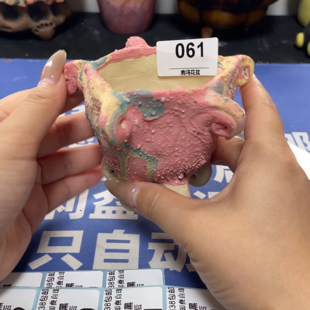特价微瑕疵不退不换哦61