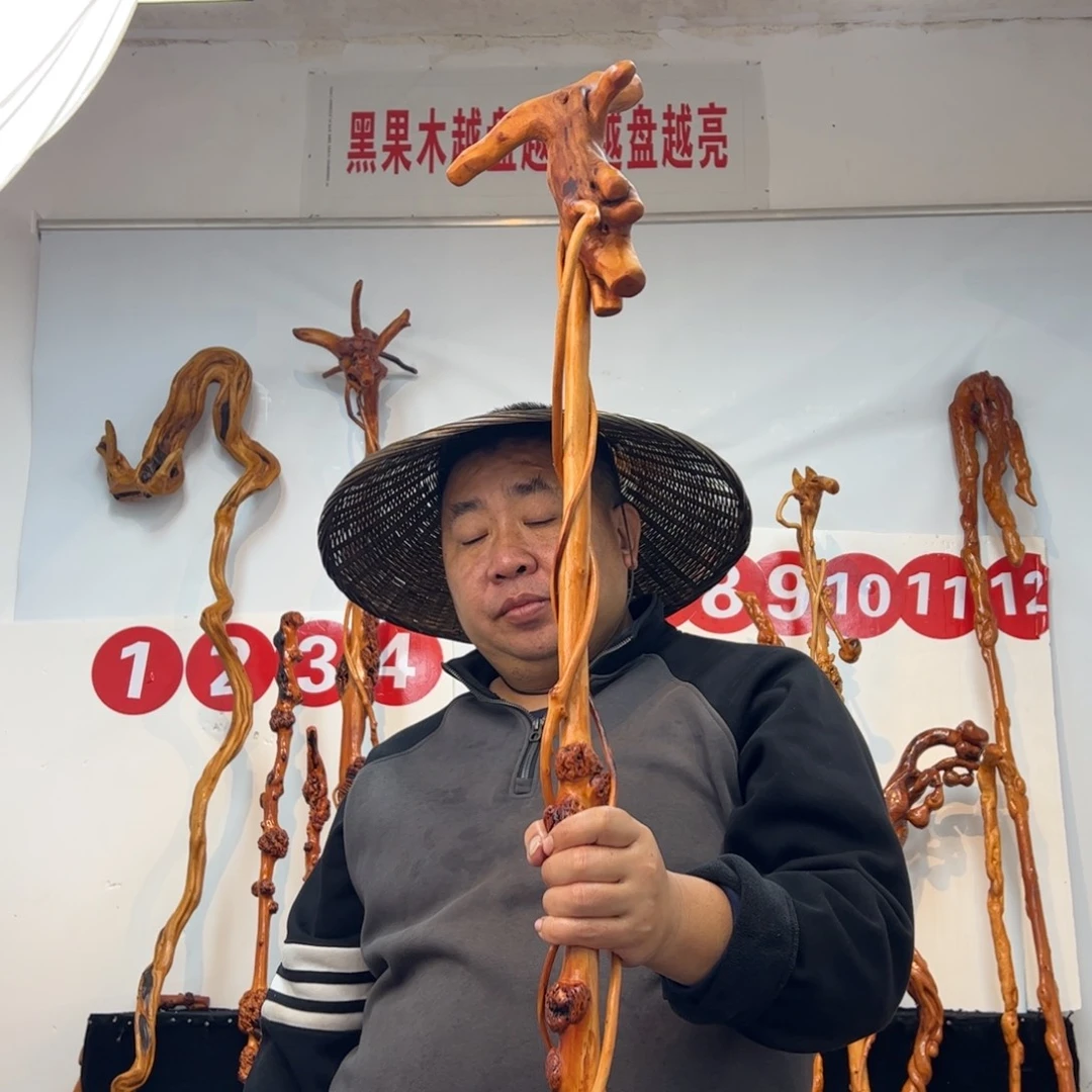 坤***大黑果木其他黑果木779