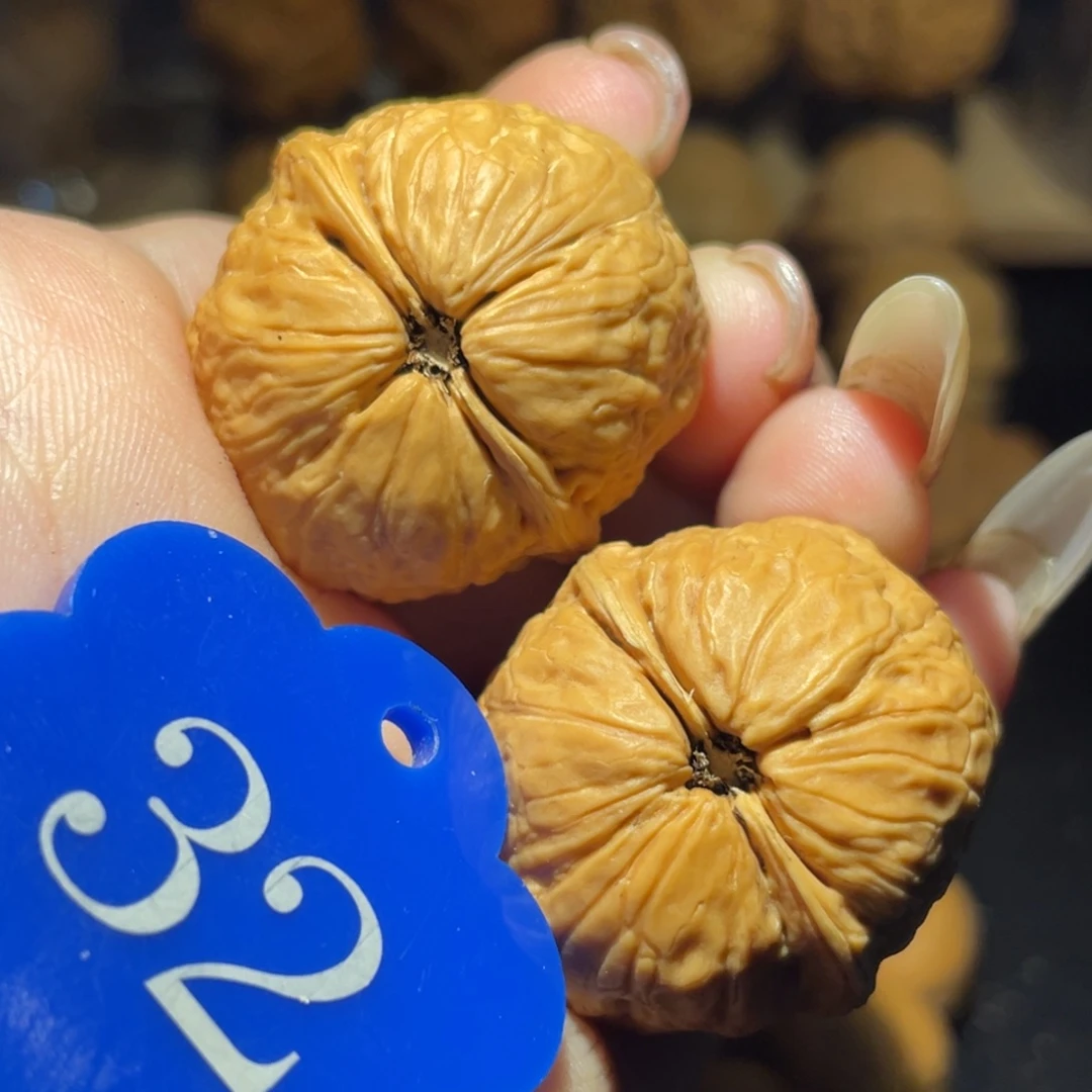 肉丸子32尺寸核桃