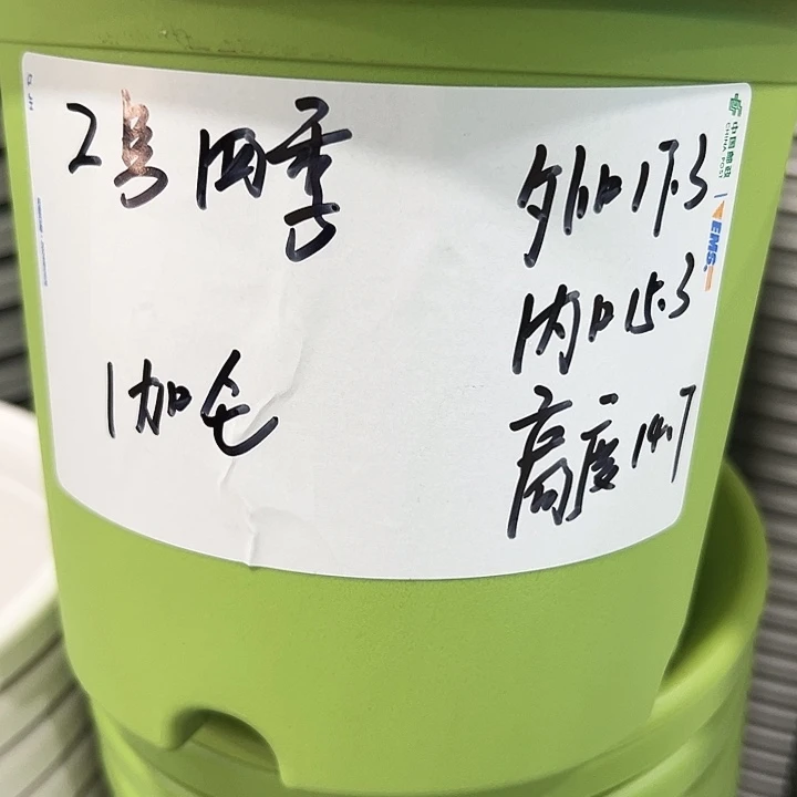 特价2号口17高14白色10只无托