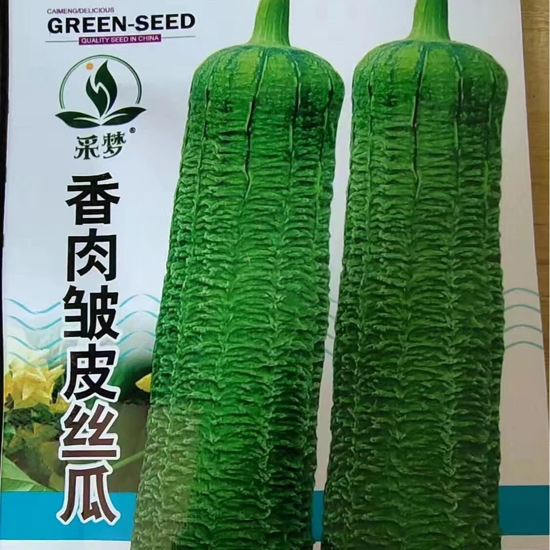 【满5包邮】皱皮肉丝瓜种子长丝瓜邹深肉厚甜嫩抗高产口感好蔬
