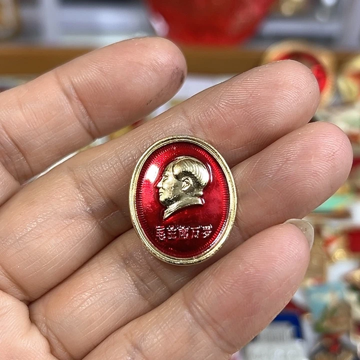 其他普通金属～****～纪念章 纪念章